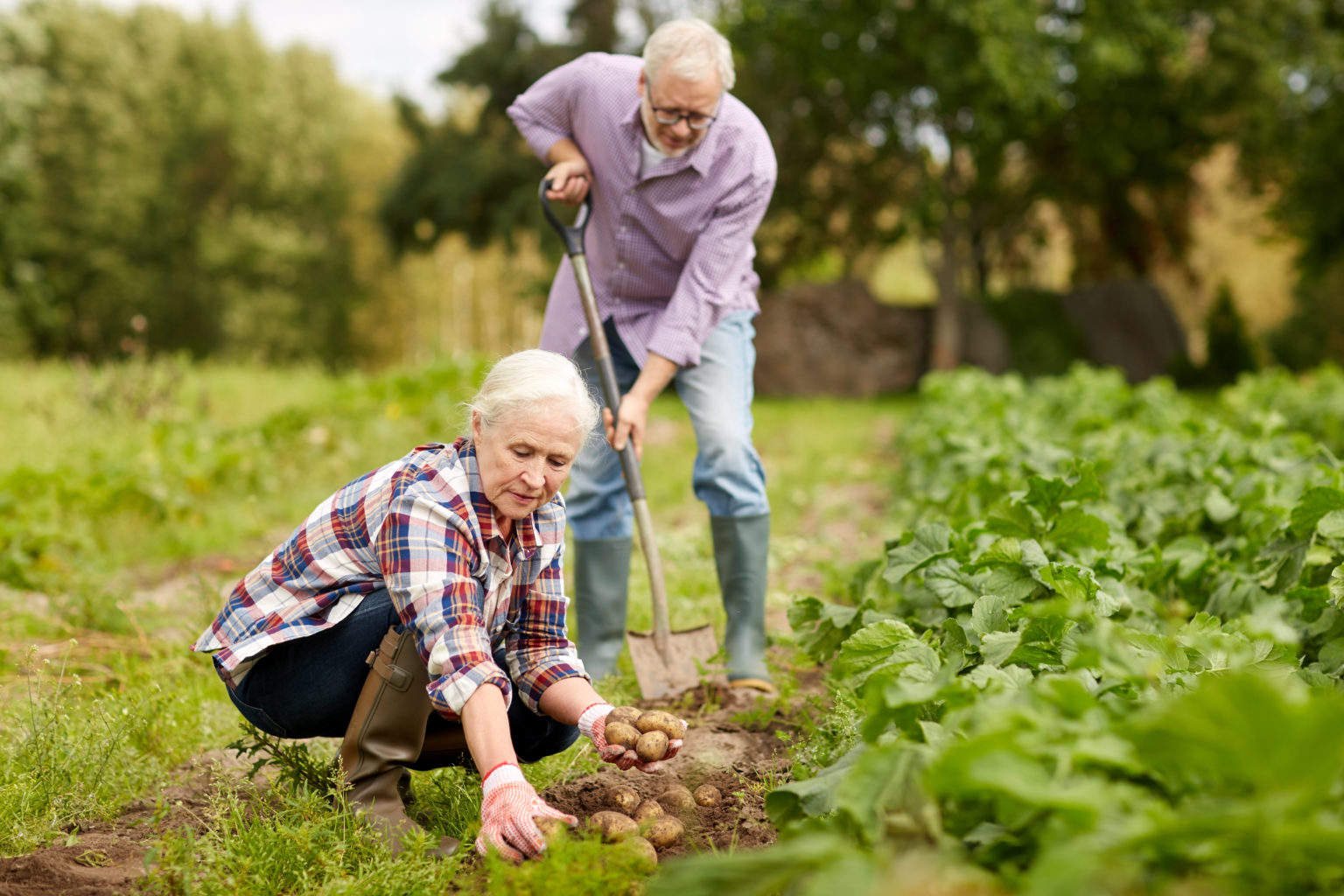 give-rural-areas-more-funds-or-face-revolt-may-told-ukpolitics